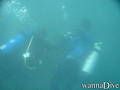 scuba diving photo