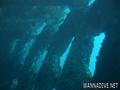 scuba diving photo