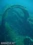 scuba diving photo