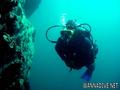 scuba diving photo