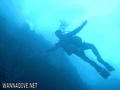 scuba diving photo
