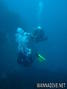 scuba diving photo