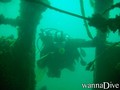 scuba diving photo