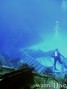 scuba diving photo