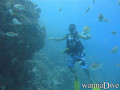 scuba diving photo