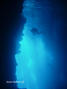 scuba diving photo
