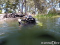 scuba diving photo