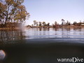 scuba diving photo