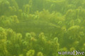 scuba diving photo