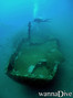 scuba diving photo