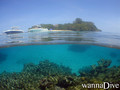 scuba diving photo